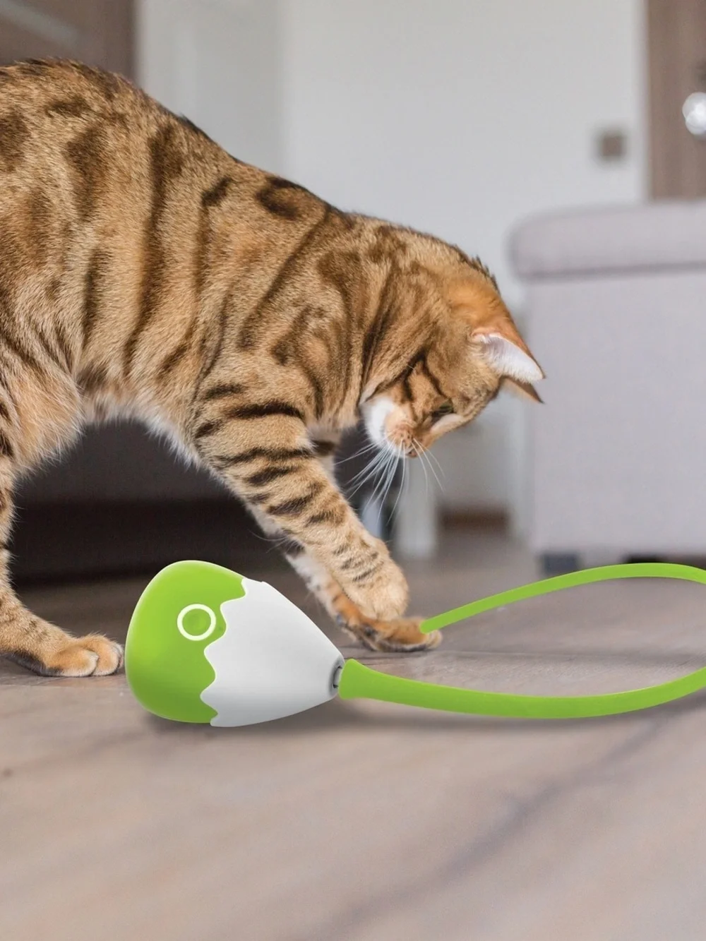 PurrSpin Interactive Cat Toy - New in box.